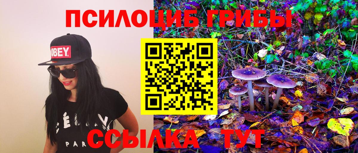 Псилоцибиновые грибы Cubensis  Вход с VPN  Буйнакск 