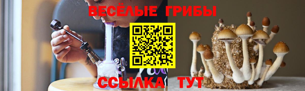 Галлюциногенные грибы Psilocybine cubensis Буйнакск
